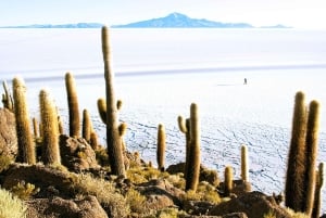 Uyuni: Erstaunlicher Salar Uyuni 3 Tage / 2 Nächte