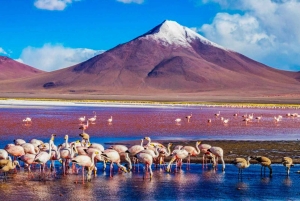 Uyuni i słone płaskowyże San Pedro de Atacama
