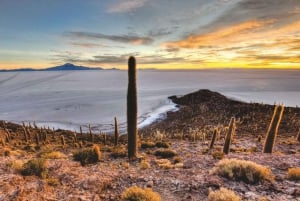 Uyuni: Klassisk hel dag + solnedgang