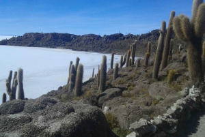 Uyuni: Deluxe Camping 3 Days Tour