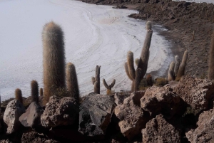 Uyuni: 3 dagers Deluxe Camping-tur