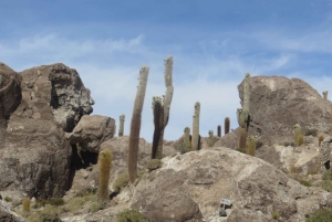 Uyuni: 3 dagers Deluxe Camping-tur