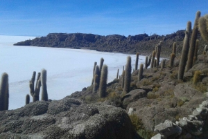 Uyuni: 3 dagers Deluxe Camping-tur