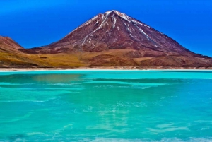 Uyuni: Geiser en Uyuni Zoutvlaktes 3-Dagen | Flamingo's