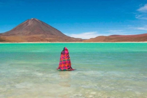 Uyuni: Geiser en Uyuni Zoutvlaktes 3-Dagen | Flamingo's