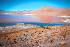 Uyuni: begeleide 3-daagse tour zoutvlakten & Avaroa National Park