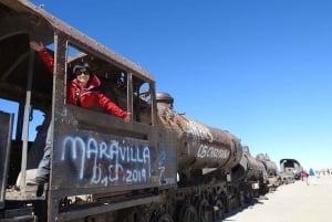 Uyuni: Jeeptour van een hele dag naar Isla Incahuasi en zoutvlakten van Uyuni