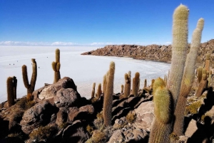 Uyuni:Excursion en jeep d'une journée à l'île d'Incahuasi et aux salines d'Uyuni