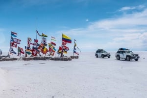 Uyuni: Jeeptur till Incahuasi Island och Uyuni Salt Flat