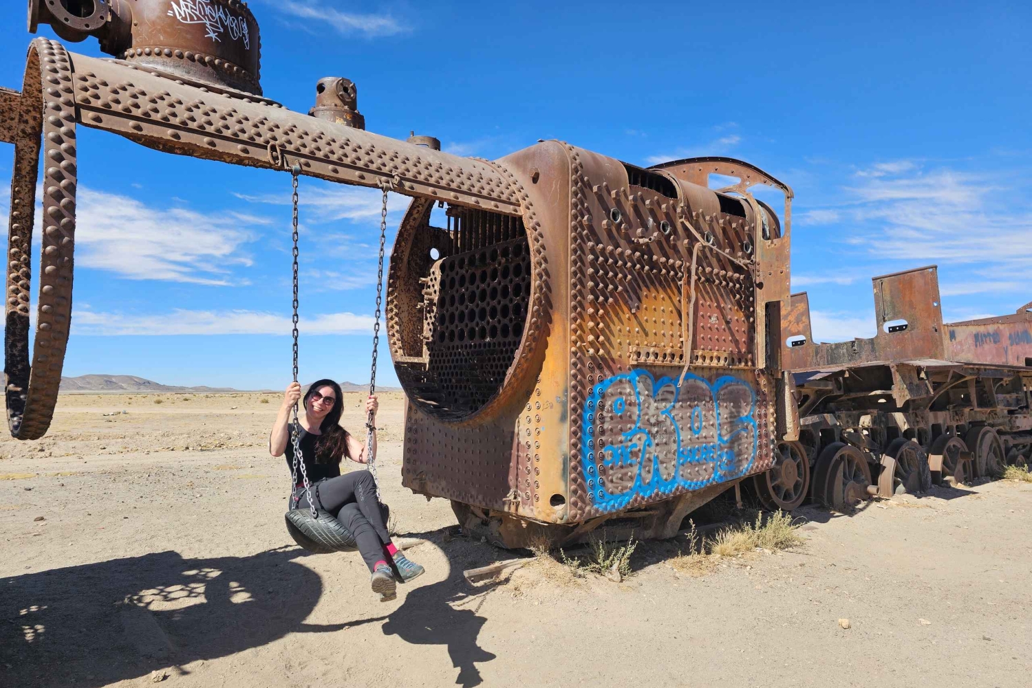 Uyuni: Yksityinen 1 päivän retki - Salt Flats & Isla Incahuasi (suolatasangot ja Incahuasi-saari)