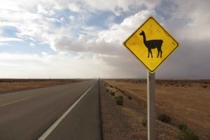 Uyuni: trasferimento privato a Tupiza.