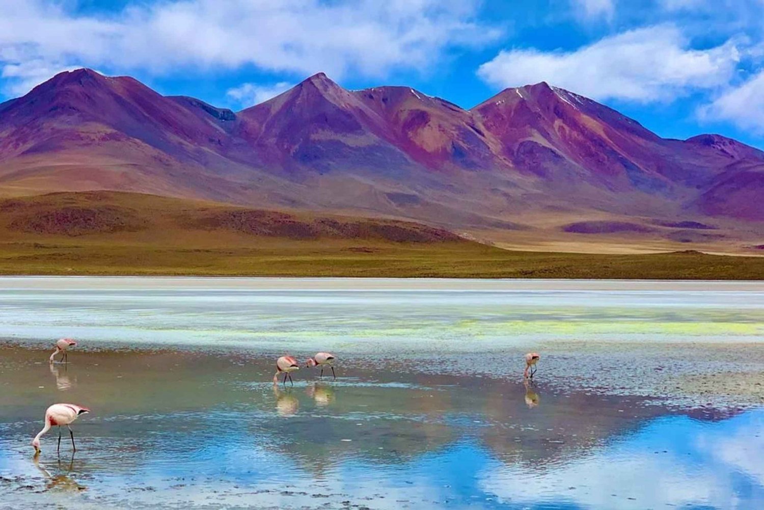 UYUNI SALAR 2 PÄIVÄÄ 1 YÖ | TUNUPA VOLCANO REITTI