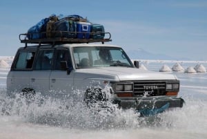 Uyuni: Salar en Incahuasi eiland - privétour van 1 dag