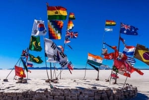 Uyuni: Salar og Incahuasi-øen - 1-dags privat tur