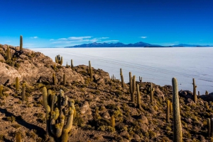 Uyuni: Salar en Incahuasi eiland - privétour van 1 dag