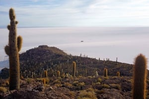 Uyuni: Salar og Incahuasi-øya - privat omvisning på 1 dag