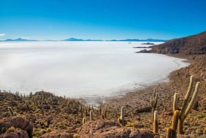 Uyuni: Salar de Uyuni en San Pedro de Atacama |3-daagse tour|