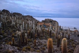 Uyuni: Salar de Uyuni Sunset Tour with Wine