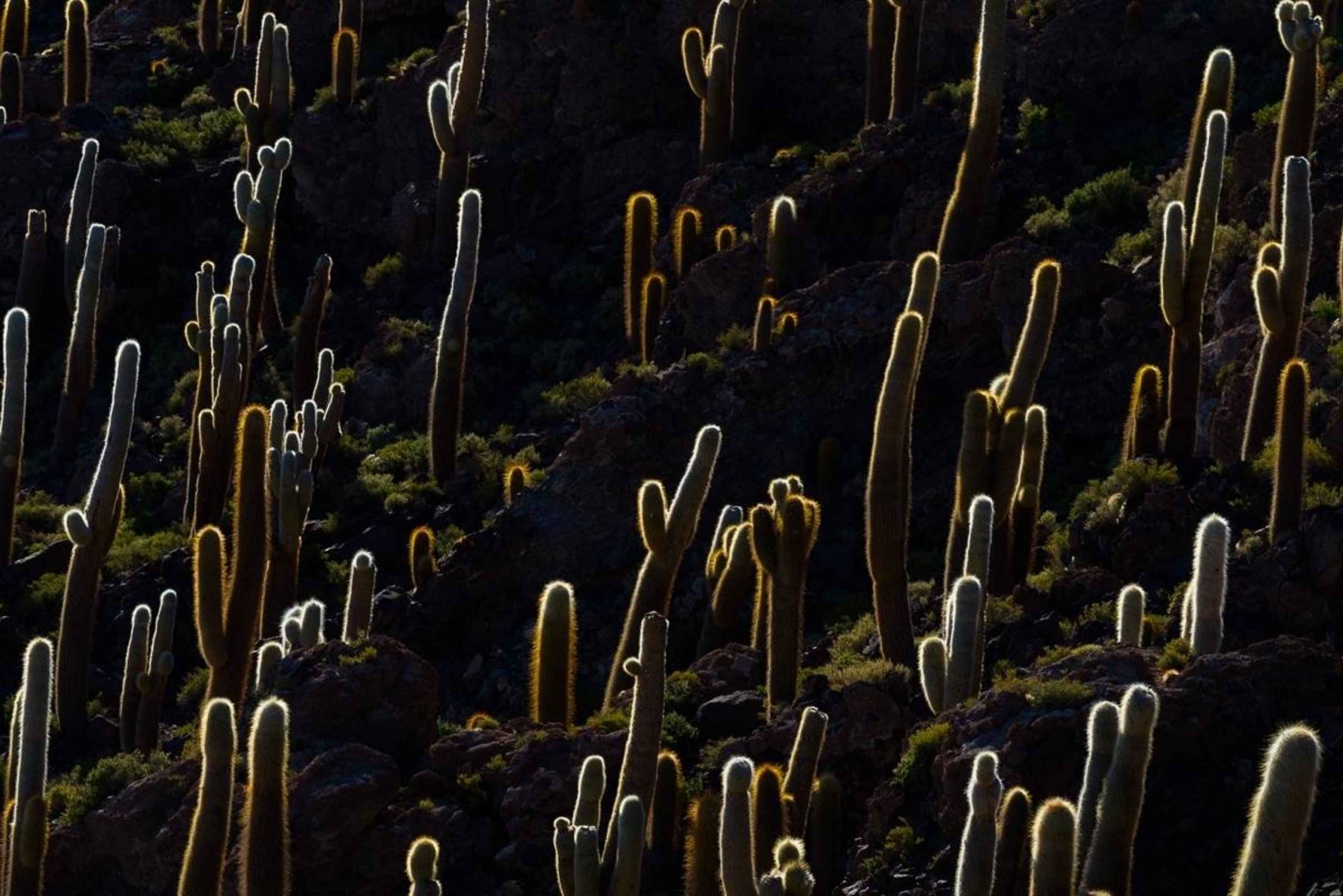 Uyuni: Tour tradizionale del Salar de Uyuni + tour al tramonto