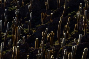 Uyuni: tradycyjna wycieczka na Salar de Uyuni + wycieczka o zachodzie słońca