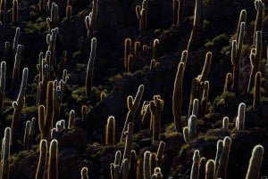 Uyuni: Tour tradizionale del Salar de Uyuni + tour al tramonto