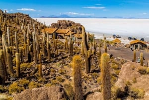 UYUNI SALT FLAT 3 DAYS 2 NIGHTS VILLA MAR ROUTE