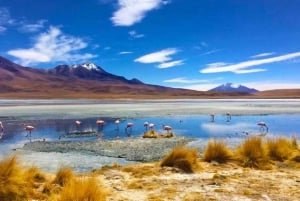 Uyuni Salt Flat 3 days private, Uyuni - Uyuni| hotel 3 ☆☆☆