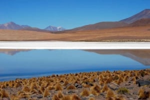 Saltsletten i Uyuni 3 dager | Uyuni - Uyuni