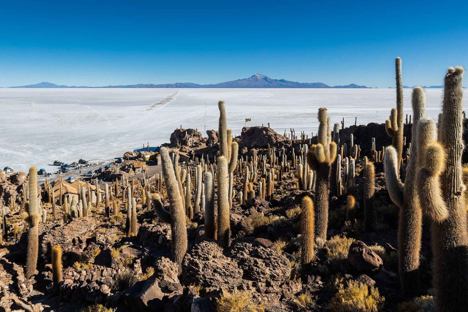 Uyuni Salt Flat und Incahuasi Island 5 Tage