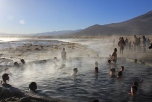 Uyuni Salt Flat & Andes: 2-Days and 1-Night Adventure