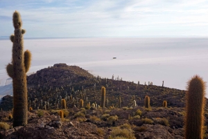 Uyuni Salt Flat Utflykt | Heldag + Lunch |