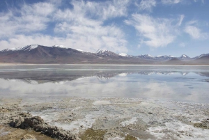 Uyuni-Salzebene: ab San Pedro de Atacama privat | 4 Tage