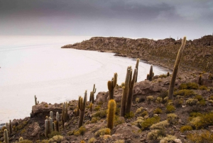 Le salar d'Uyuni : Depuis Sucre | 1 jour et 1 nuit