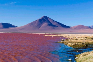 Uyuni Salt Flat: Z Tupizy | 4 dni | Prywatnie | Hotel