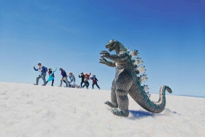 Uyuni Salt Flat Full Day Tour for 4 with speak English guide