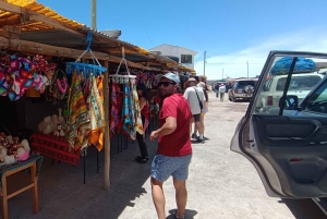 Uyuni Salt Flat Full Day Tour for 4 with speak English guide