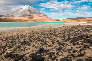 Excursion privée dans les salines d'Uyuni