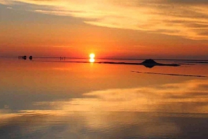 Privat utflukt til saltsletten i Uyuni