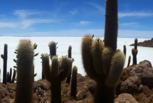 Visite privée des salines d'Uyuni depuis le Chili dans des auberges de jeunesse