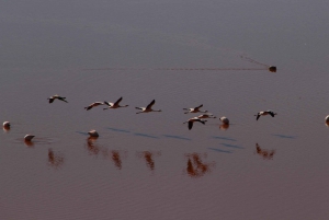 Visite privée des salines d'Uyuni depuis le Chili dans des auberges de jeunesse