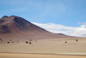 Uyuni Salt Flat Tour from San Pedro de Atacama 3D/2N+Hostal