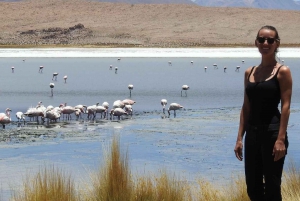 Circuit des salines d'Uyuni depuis San Pedro de Atacama 3D/2N+Hébergement