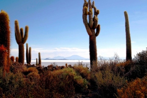 UYUNI SALT FLAT & TUNUPA VOLCANO: 2 DAYS/1 NIGHT EXPEDITION