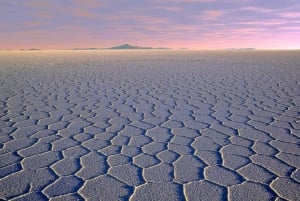 Salines d'Uyuni : Visite guidée d'une journée avec guide