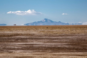 Tour privato di 2 giorni alle saline di Uyuni con il vulcano Tunupa