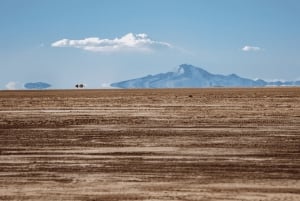 Uyuni Salt Flats 2-daagse privétour met Tunupa-vulkaan