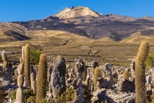 Uyuni Salt Flats 2-daagse privétour met Tunupa-vulkaan