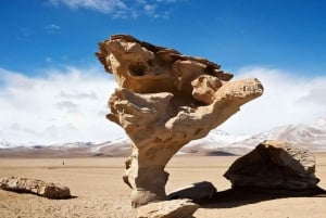 Salines d'Uyuni 2 jours