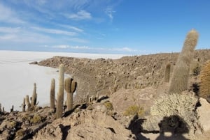 Uyuni: Salt Flats 3-Day Tour with Meals and Guide