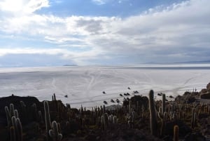 Uyuni: Salt Flats 3-Day Tour with Meals and Guide